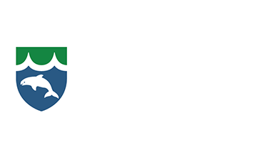 Middelfart Kommunes byvåben